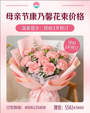 萍乡上栗县花店母亲节康乃馨花束