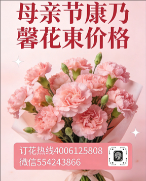 萍乡上栗县花店母亲节康乃馨花束